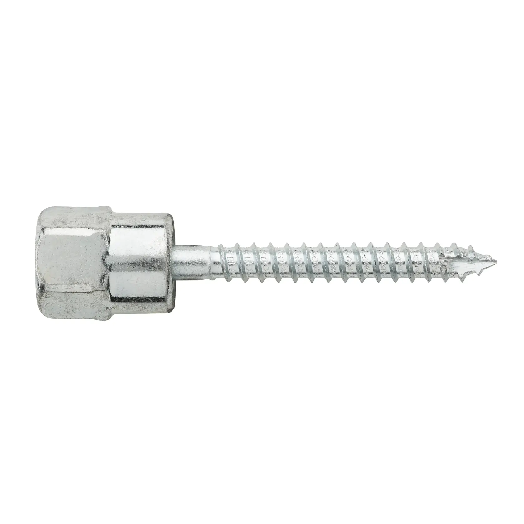 100 x VERTIGO™ Legno M8x50mm